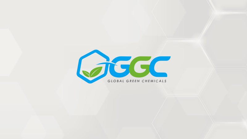 Analyst Meeting Q3/2024