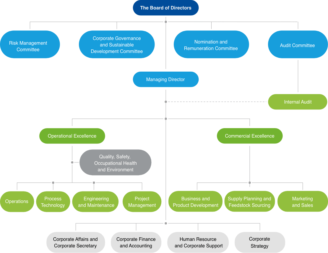 Organization Structure and Executive Team | Global Green Chemicals