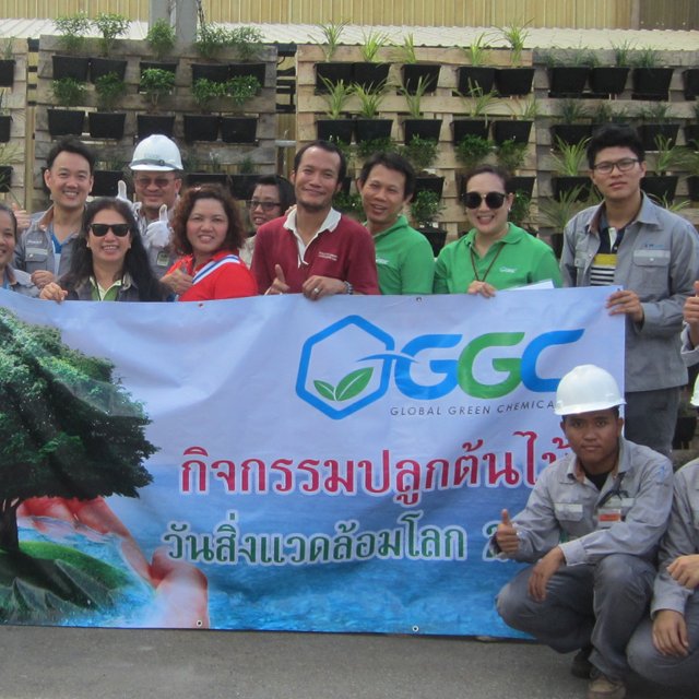 GGC จัดกิจกรรมรับ "วันสิ่งแวดล้อมโลก" นำพนักงานปลูกสวนแนวตั้ง ผสานพลังภูมิปัญญาชาวบ้าน สืบสานงาน CSR